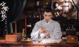 宁安如梦爆料新闻报道,揭秘娱乐圈幕后真相